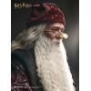 INART - Albus Dumbledore Premium Version 1/6 Scale Collectible Figure - Harry Potter and the Chamber of Secrets