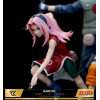 Cartoon Kingdom - Naruto (Team 7) 1/6 Limited Edition