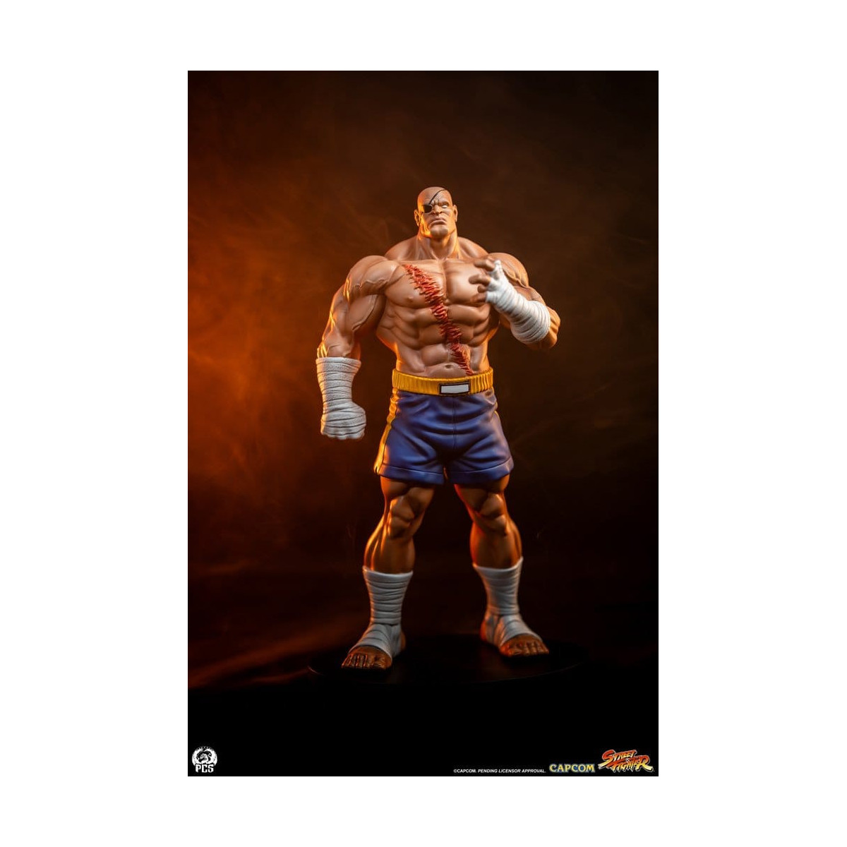 PCS - Street Fighter: Street Jam - Sagat & Juli 1:10 Scale Statue Set