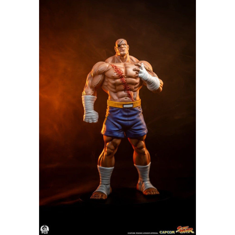PCS - Street Fighter: Street Jam - Sagat & Juli 1:10 Scale Statue Set