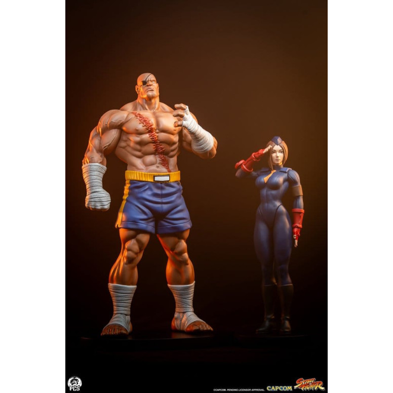 PCS - Street Fighter: Street Jam - Sagat & Juli 1:10 Scale Statue Set
