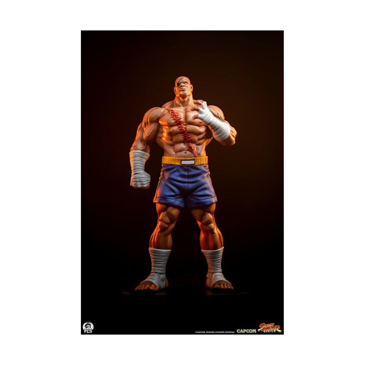 PCS - Street Fighter: Street Jam - Sagat & Juli 1:10 Scale Statue Set