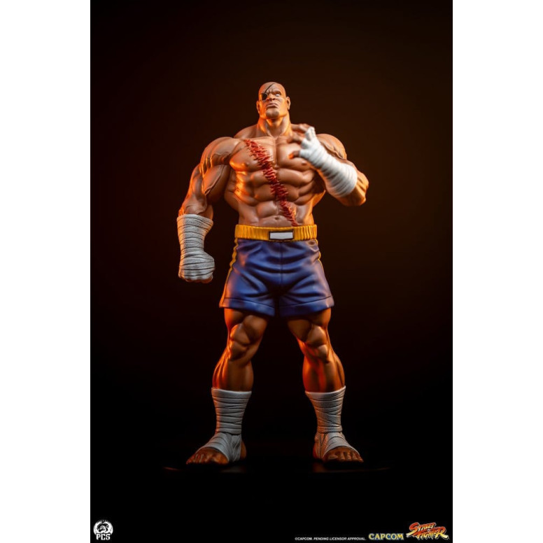 PCS - Street Fighter: Street Jam - Sagat & Juli 1:10 Scale Statue Set