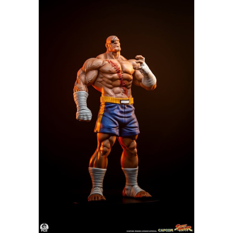 PCS - Street Fighter: Street Jam - Sagat & Juli 1:10 Scale Statue Set