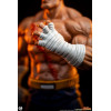 PCS - Street Fighter: Street Jam - Sagat & Juli 1:10 Scale Statue Set