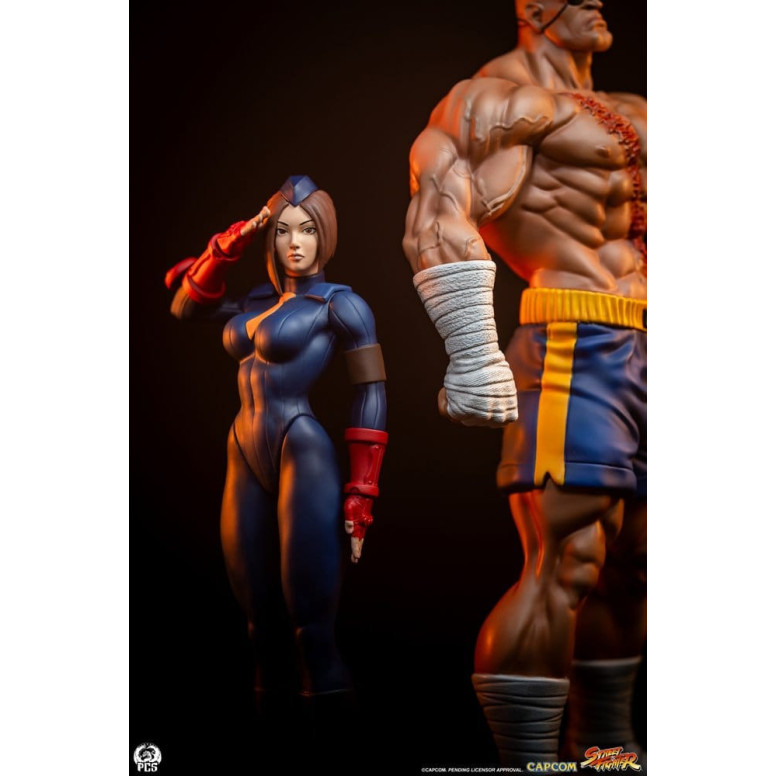 PCS - Street Fighter: Street Jam - Sagat & Juli 1:10 Scale Statue Set