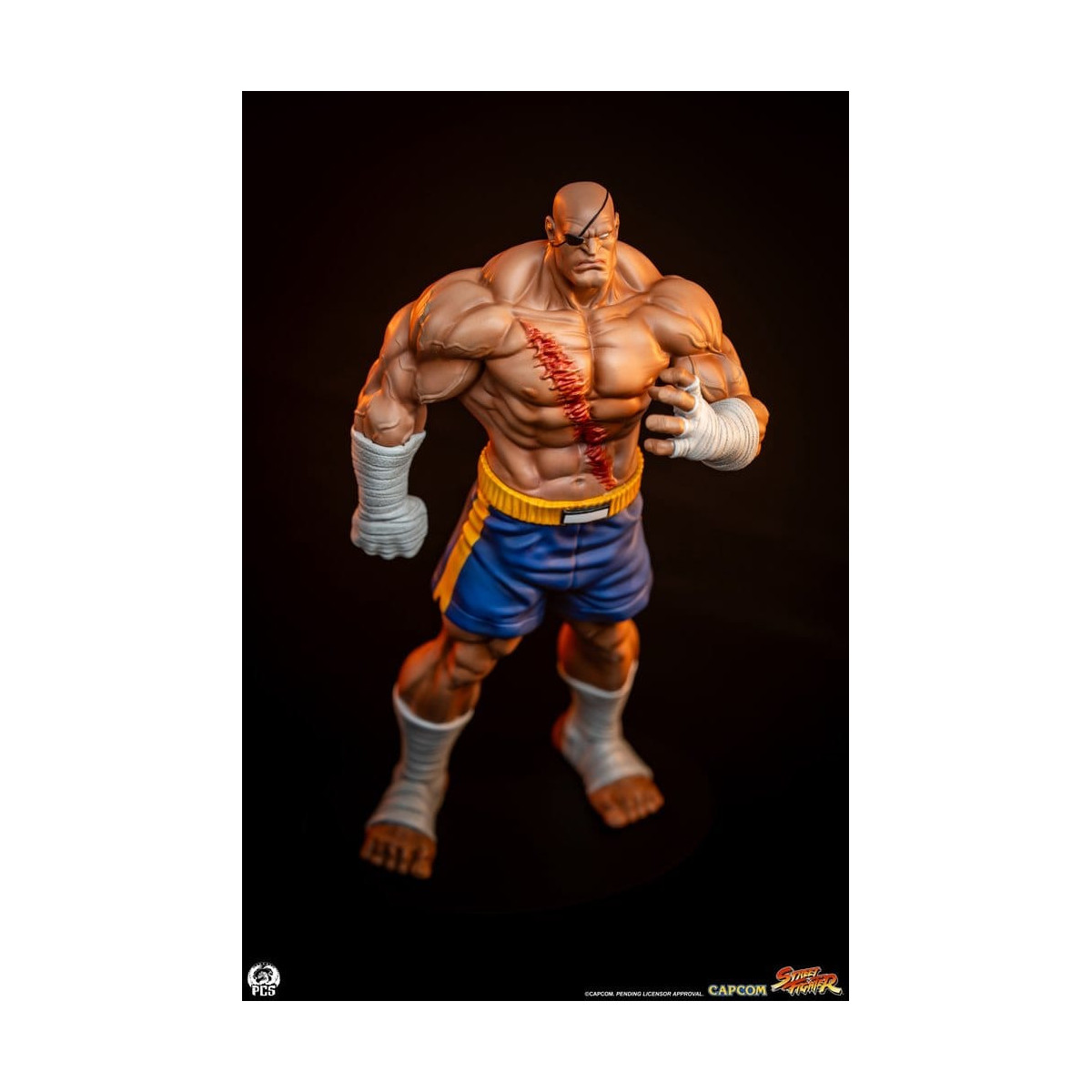 PCS - Street Fighter: Street Jam - Sagat & Juli 1:10 Scale Statue Set