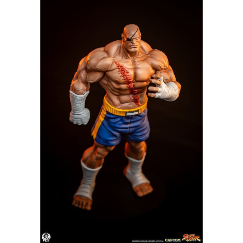 PCS - Street Fighter: Street Jam - Sagat & Juli 1:10 Scale Statue Set