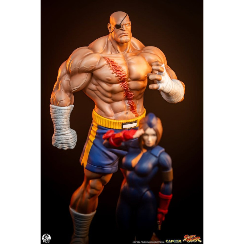 PCS - Street Fighter: Street Jam - Sagat & Juli 1:10 Scale Statue Set