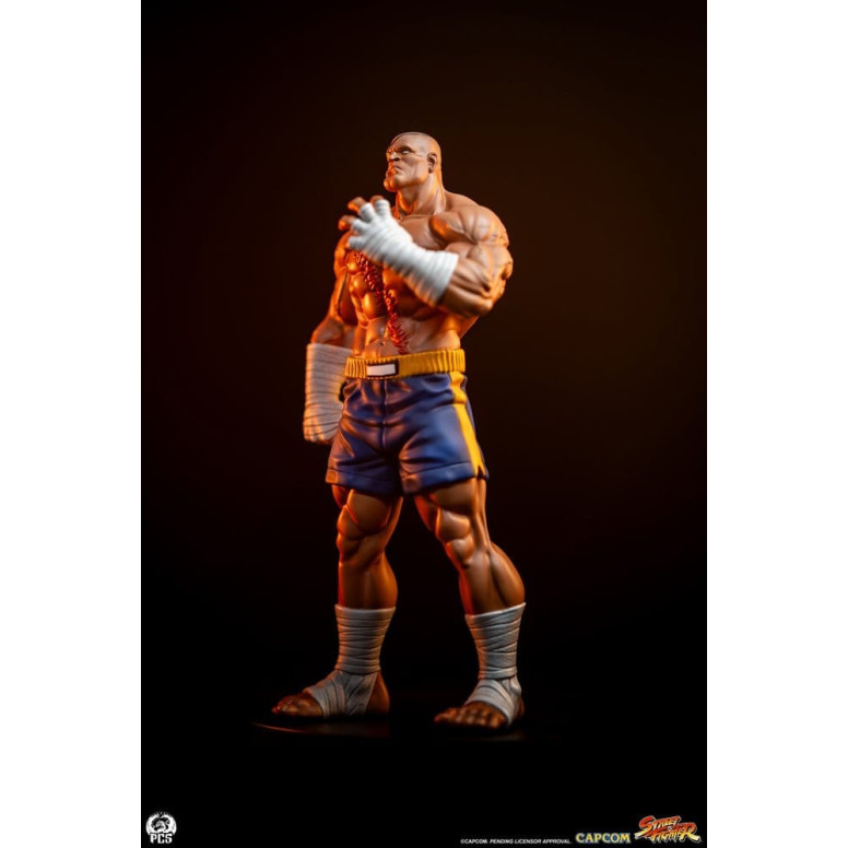 PCS - Street Fighter: Street Jam - Sagat & Juli 1:10 Scale Statue Set