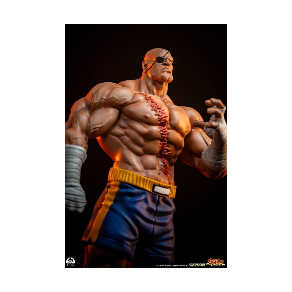 PCS - Street Fighter: Street Jam - Sagat & Juli 1:10 Scale Statue Set