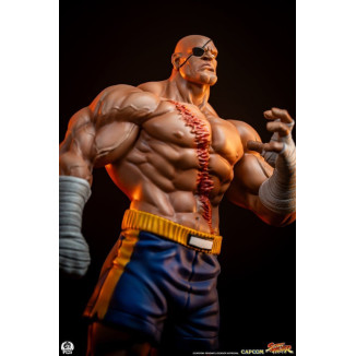 PCS - Street Fighter: Street Jam - Sagat & Juli 1:10 Scale Statue Set