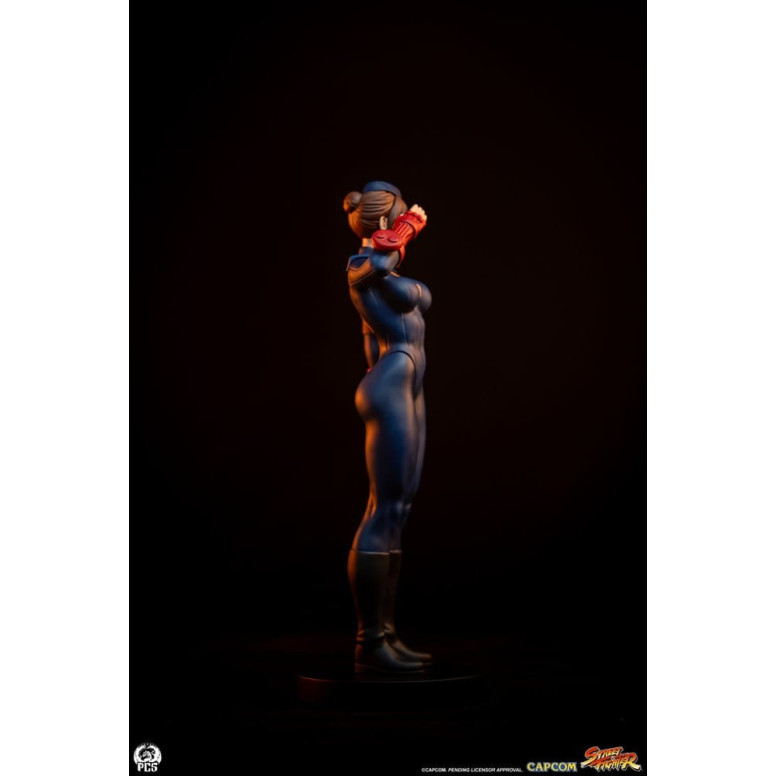 PCS - Street Fighter: Street Jam - Sagat & Juli 1:10 Scale Statue Set