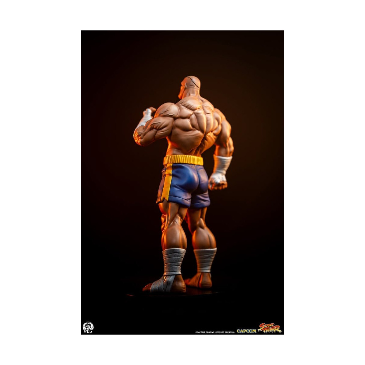 PCS - Street Fighter: Street Jam - Sagat & Juli 1:10 Scale Statue Set