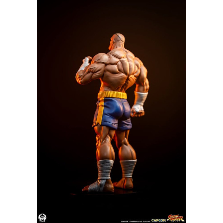 PCS - Street Fighter: Street Jam - Sagat & Juli 1:10 Scale Statue Set