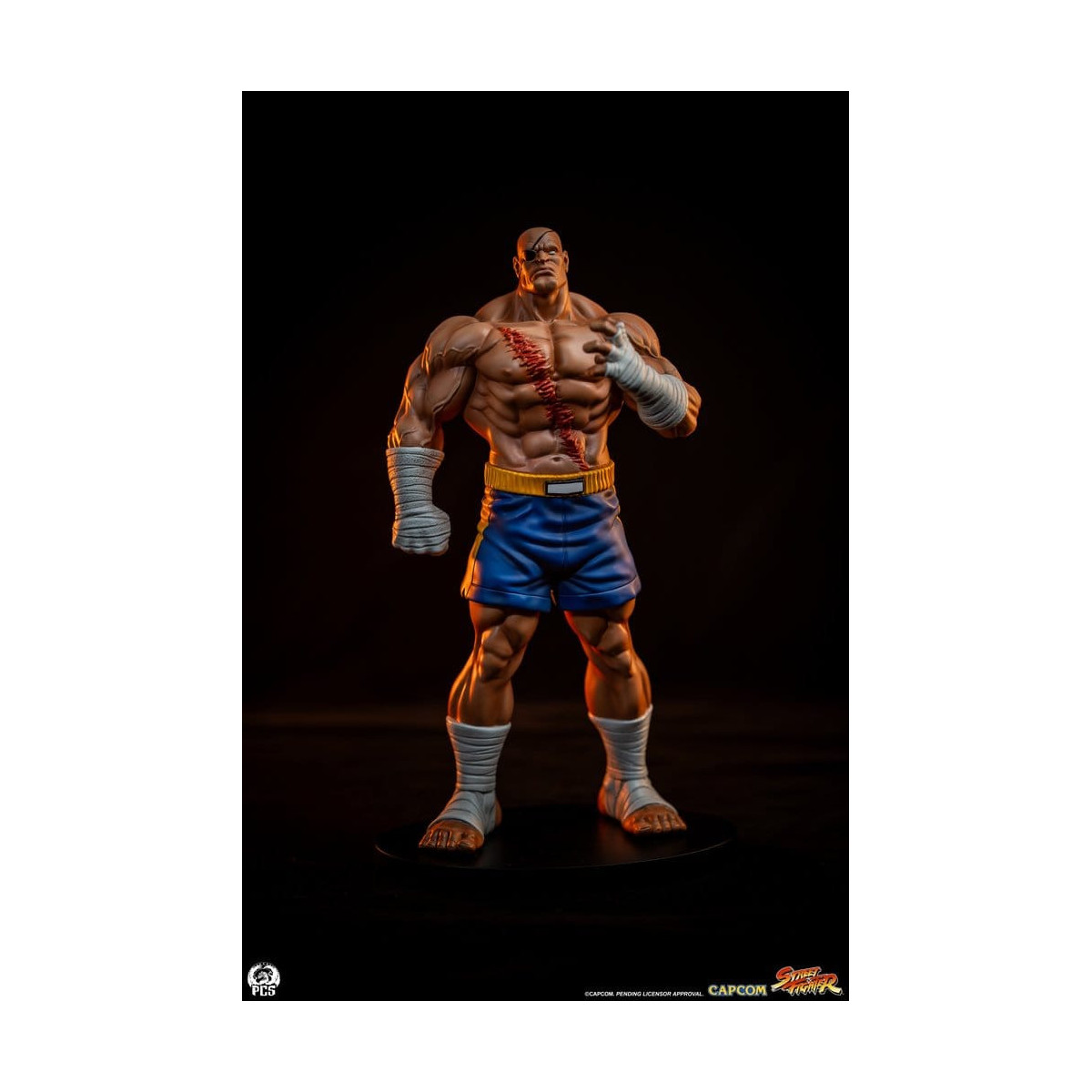 PCS - Street Fighter: Street Jam - Sagat & Juli 1:10 Scale Statue Set