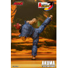 Storm Collectibles - AKUMA - Street Fighter Alpha Storm Arena 1/12