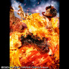 Megahouse One Piece Portrait Of Pirates - P.O.P. NEO-MAXIMUM Portgas D. Ace 15th Anniversary Super Limited Reprint Ver.