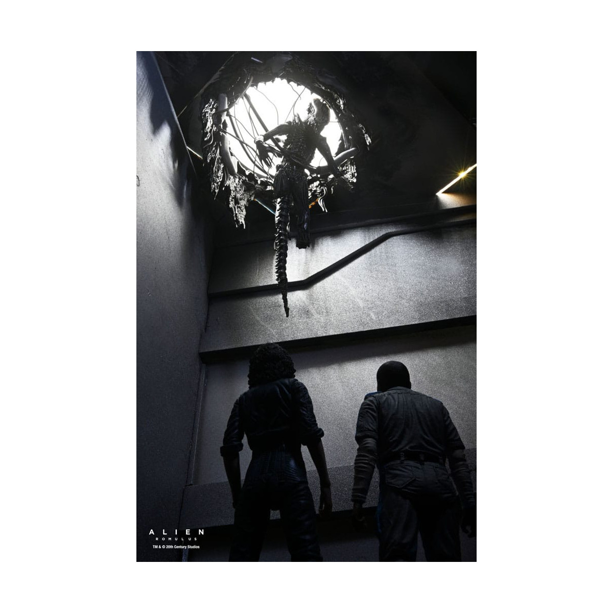 Neca - Alien: Romulus - Deluxe Suspended Lab Xenomorph XX121