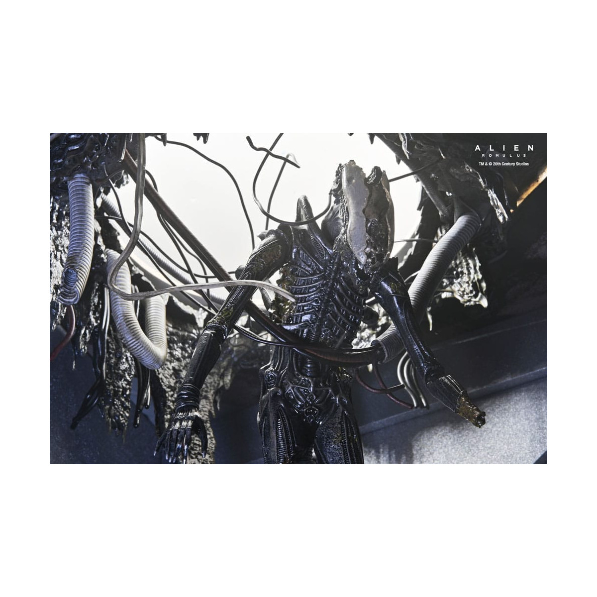 Neca - Alien: Romulus - Deluxe Suspended Lab Xenomorph XX121
