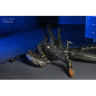 Neca - Alien: Romulus - Deluxe Suspended Lab Xenomorph XX121