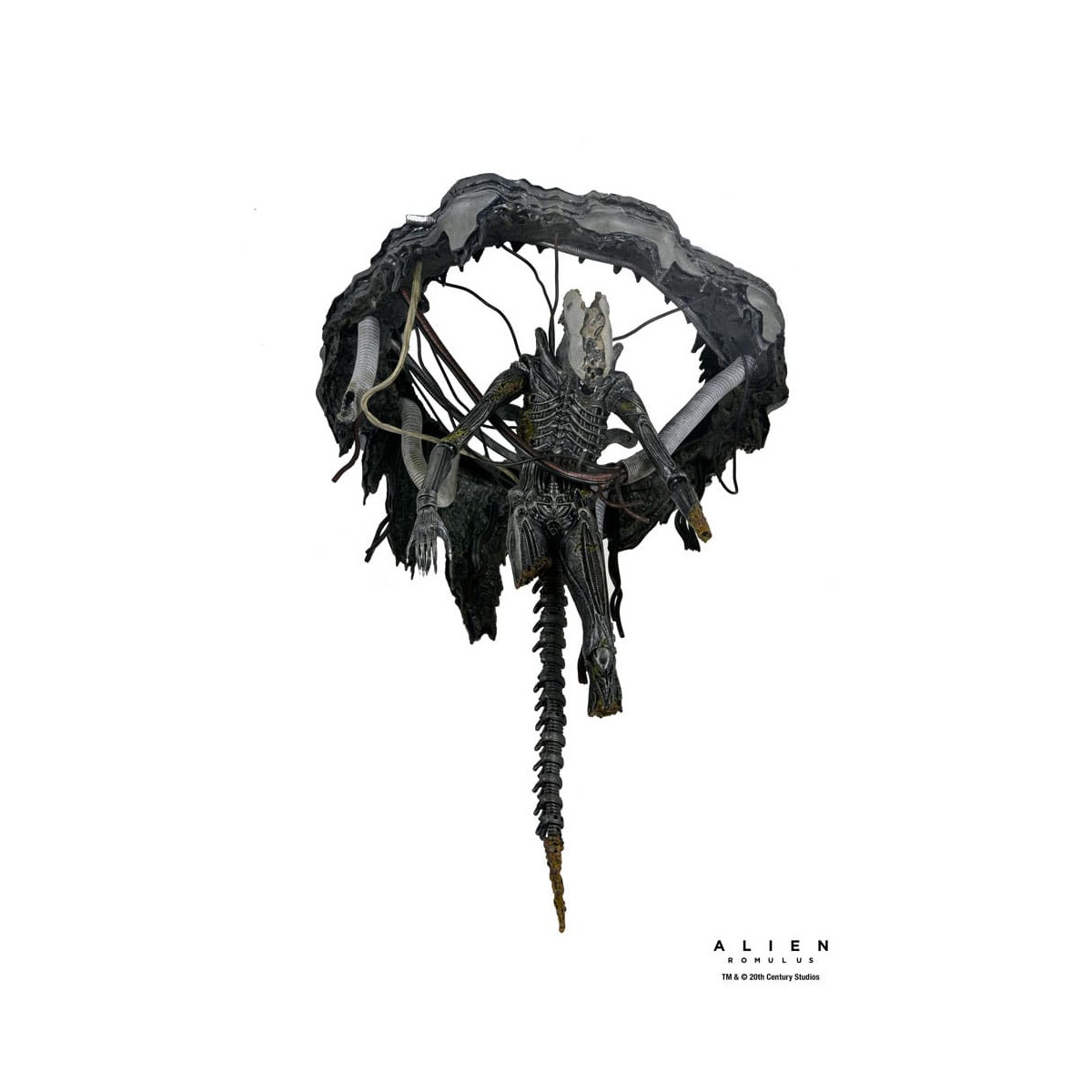 Neca - Alien: Romulus - Deluxe Suspended Lab Xenomorph XX121