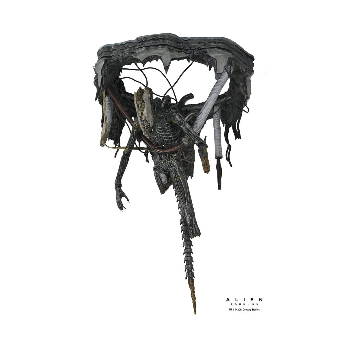 Neca - Alien: Romulus - Deluxe Suspended Lab Xenomorph XX121