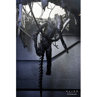 Neca - Alien: Romulus - Deluxe Suspended Lab Xenomorph XX121