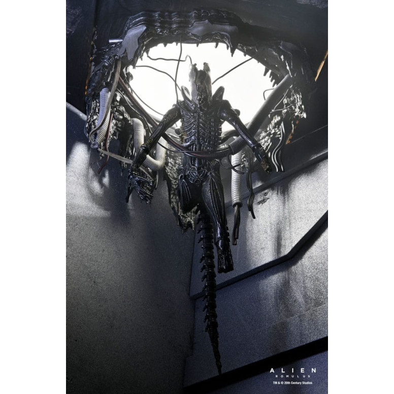 Neca - Alien: Romulus - Deluxe Suspended Lab Xenomorph XX121