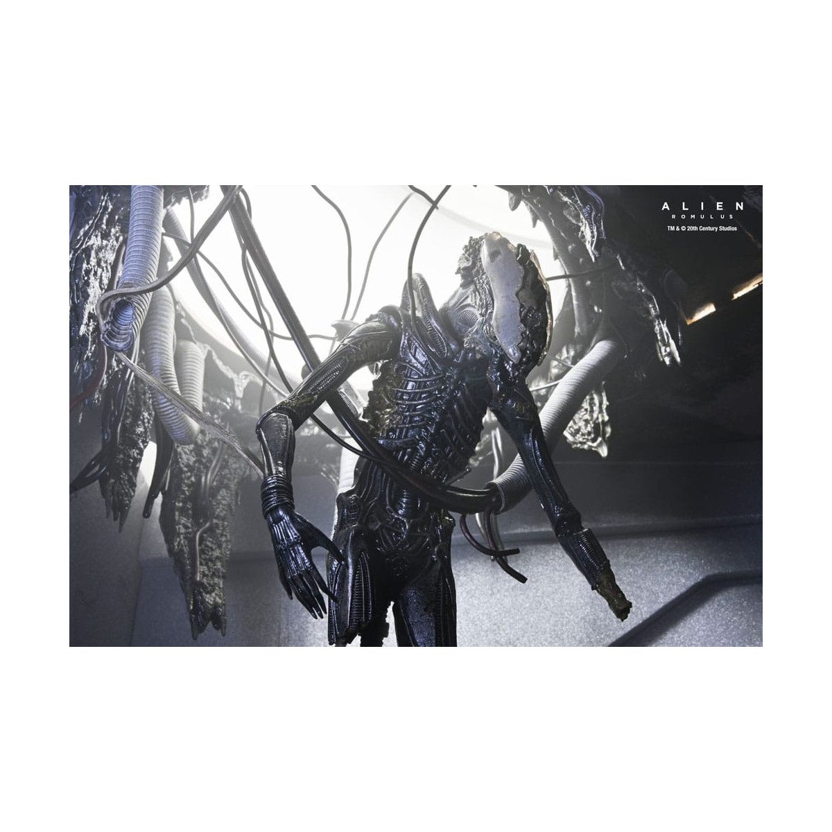 Neca - Alien: Romulus - Deluxe Suspended Lab Xenomorph XX121