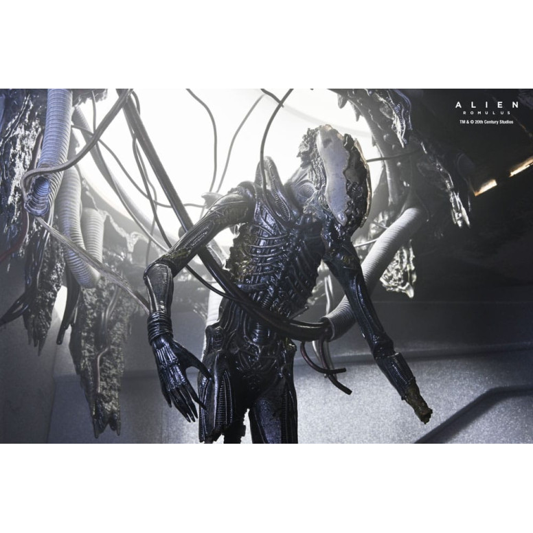 Neca - Alien: Romulus - Deluxe Suspended Lab Xenomorph XX121