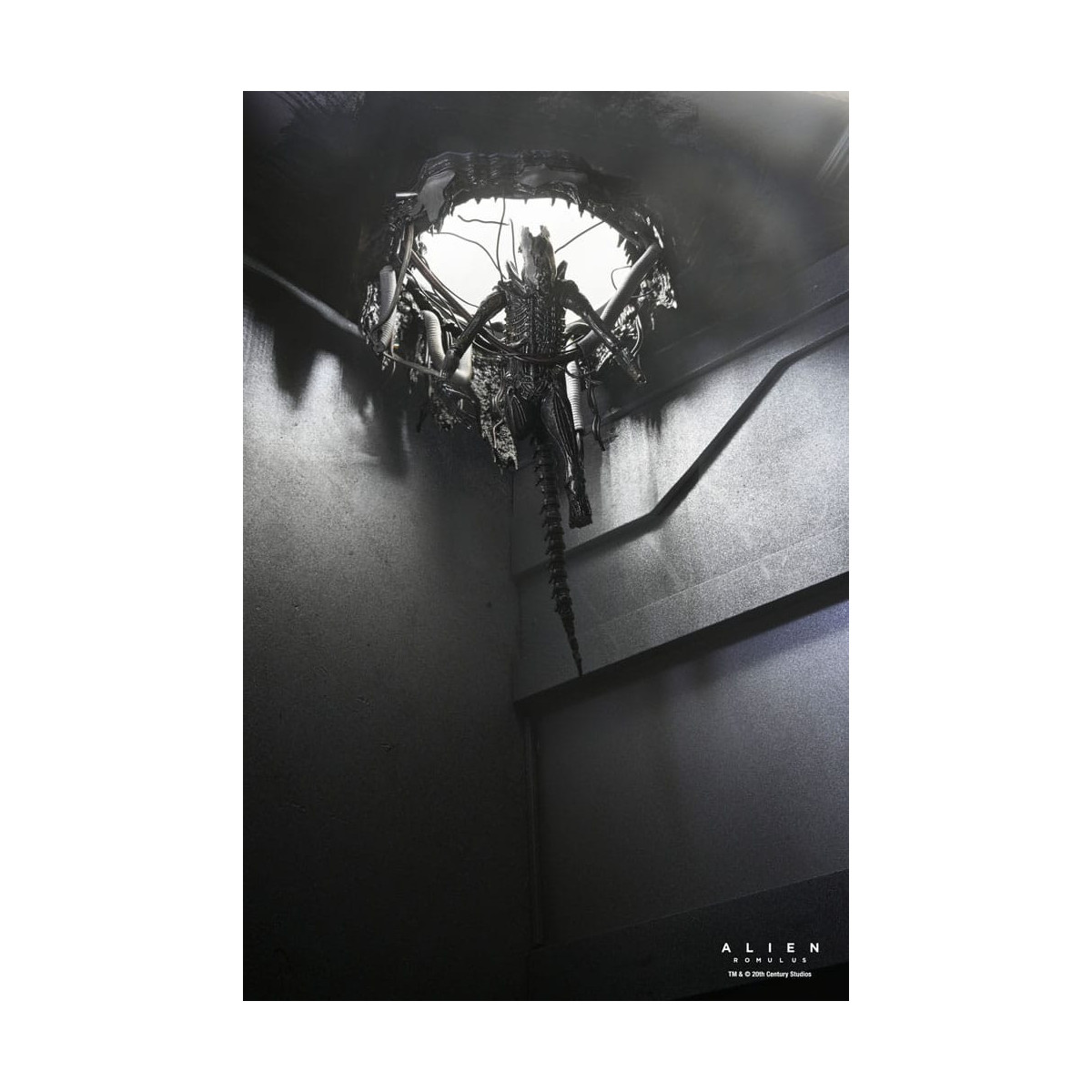 Neca - Alien: Romulus - Deluxe Suspended Lab Xenomorph XX121