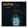 Paladone Harry Potter Themed light-up keyring