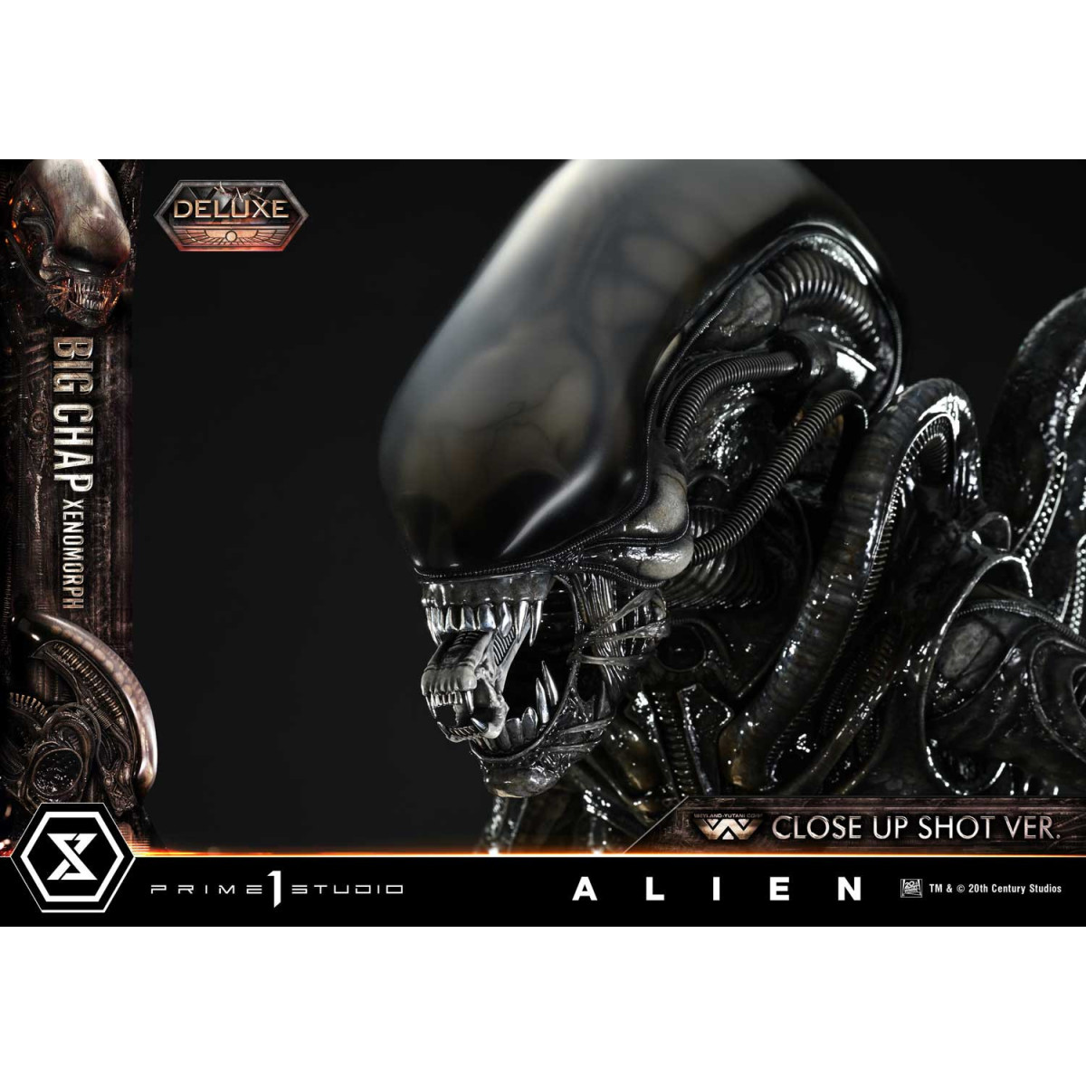 Prime 1 Studio - Big Chap Xenomorph Close Up Shot Ver. DX Bonus Version - Alien (1979) Museum Masterline XL 1/3