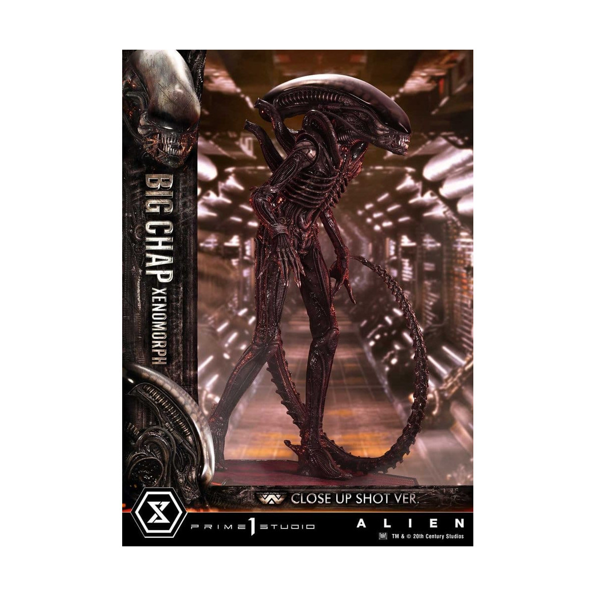 Prime 1 Studio - Big Chap Xenomorph Close Up Shot Ver.  - Alien (1979) Museum Masterline XL 1/3