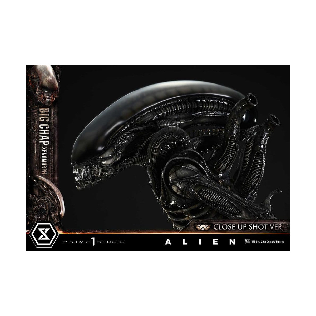 Prime 1 Studio - Big Chap Xenomorph Close Up Shot Ver.  - Alien (1979) Museum Masterline XL 1/3