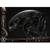 Prime 1 Studio - Big Chap Xenomorph Close Up Shot Ver.  - Alien (1979) Museum Masterline XL 1/3