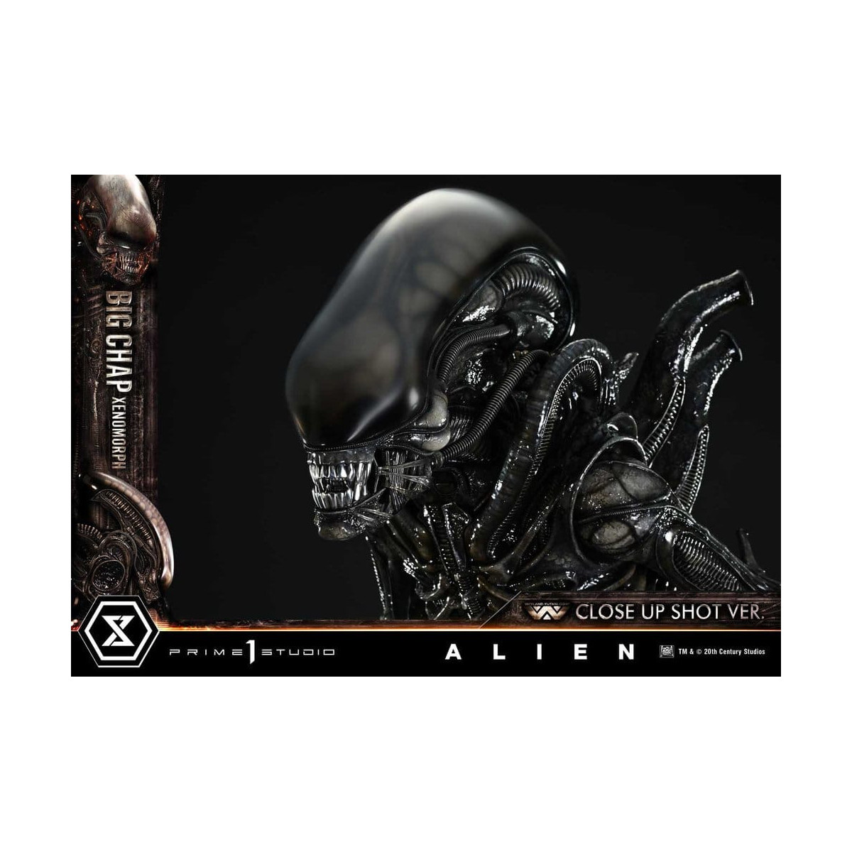 Prime 1 Studio - Big Chap Xenomorph Close Up Shot Ver.  - Alien (1979) Museum Masterline XL 1/3