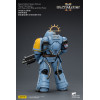 JoyToy - Space Marines II - Space Wolves - Heavy Intercessor with Heavy Bolt Rifle and Bolt Pistol 1/18