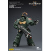 JoyToy - Space Marines II - Dark Angels - Heavy Intercessor with Heavy Bolt Rifle and Bolt Pistol 1/18