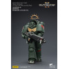 JoyToy - Space Marines II - Dark Angels - Heavy Intercessor with Heavy Bolt Rifle and Bolt Pistol 1/18