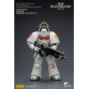 JoyToy - Space Marines II - White Scars - Heavy Intercessor with Heavy Bolt Rifle and Bolt Pistol 1/18