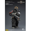 JoyToy - Space Marines II - Raven Guard - Heavy Intercessor with Heavy Bolt Rifle and Bolt Pistol 1/18