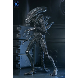 Neca Aliens - Ultimate Xenomorph Warrior - 40th anniversary (1986)
