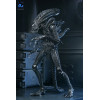 Neca Aliens - Ultimate Xenomorph Warrior - 40th anniversary (1986)
