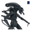 Neca Aliens - Ultimate Xenomorph Warrior - 40th anniversary (1986)