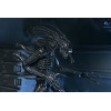 Neca Aliens - Ultimate Xenomorph Warrior - 40th anniversary (1986)