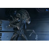 Neca Aliens - Ultimate Xenomorph Warrior - 40th anniversary (1986)