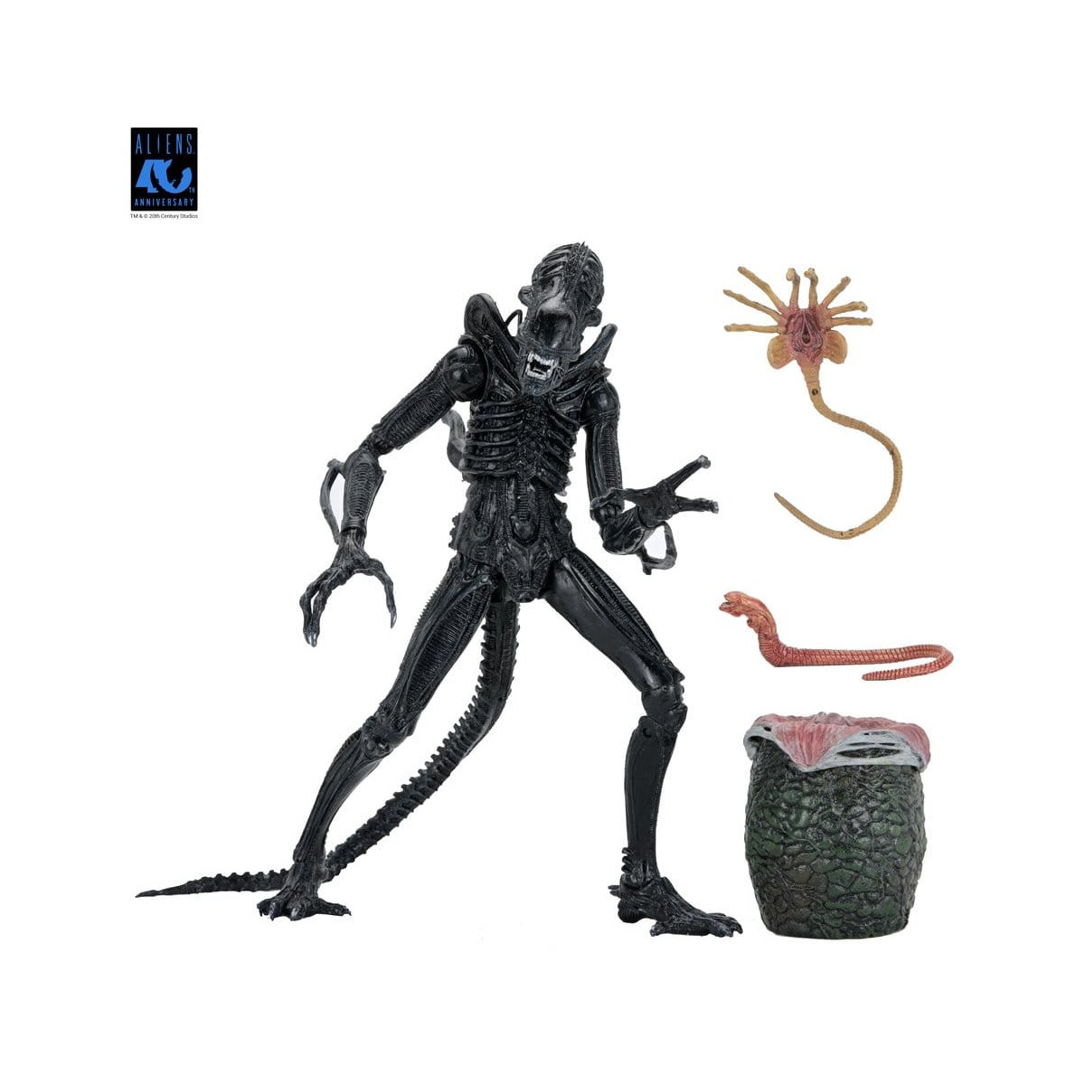 Neca Aliens - Ultimate Xenomorph Warrior - 40th anniversary (1986)