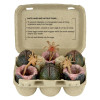 Neca Aliens - Carton of Alien Eggs (40th Anniversary) - 6 pack accessory pack